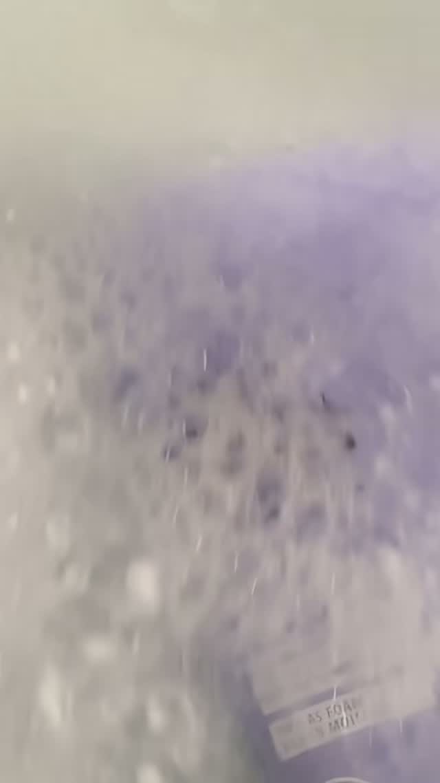 Video collection