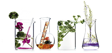Science ingredients in laboratory glassware