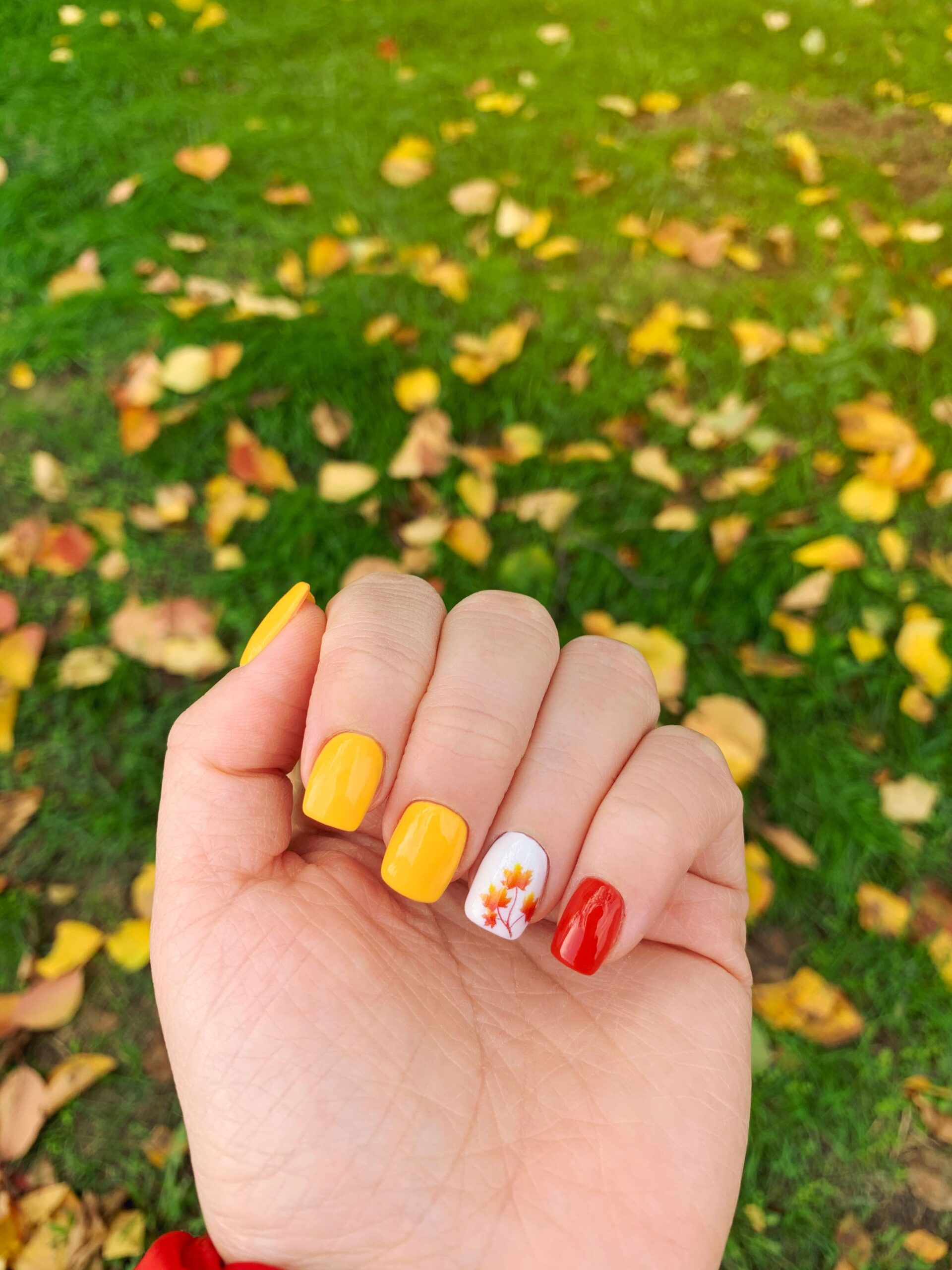 A hand with a beautiful fall manicure reaching down toward a grassy ground covered with yellow autumn leaves. The nails are painted in vibrant red and yellow, with one nail featuring a detailed hand-painted maple leaf design, showcasing a perfect example of cozy and chic fall nails.