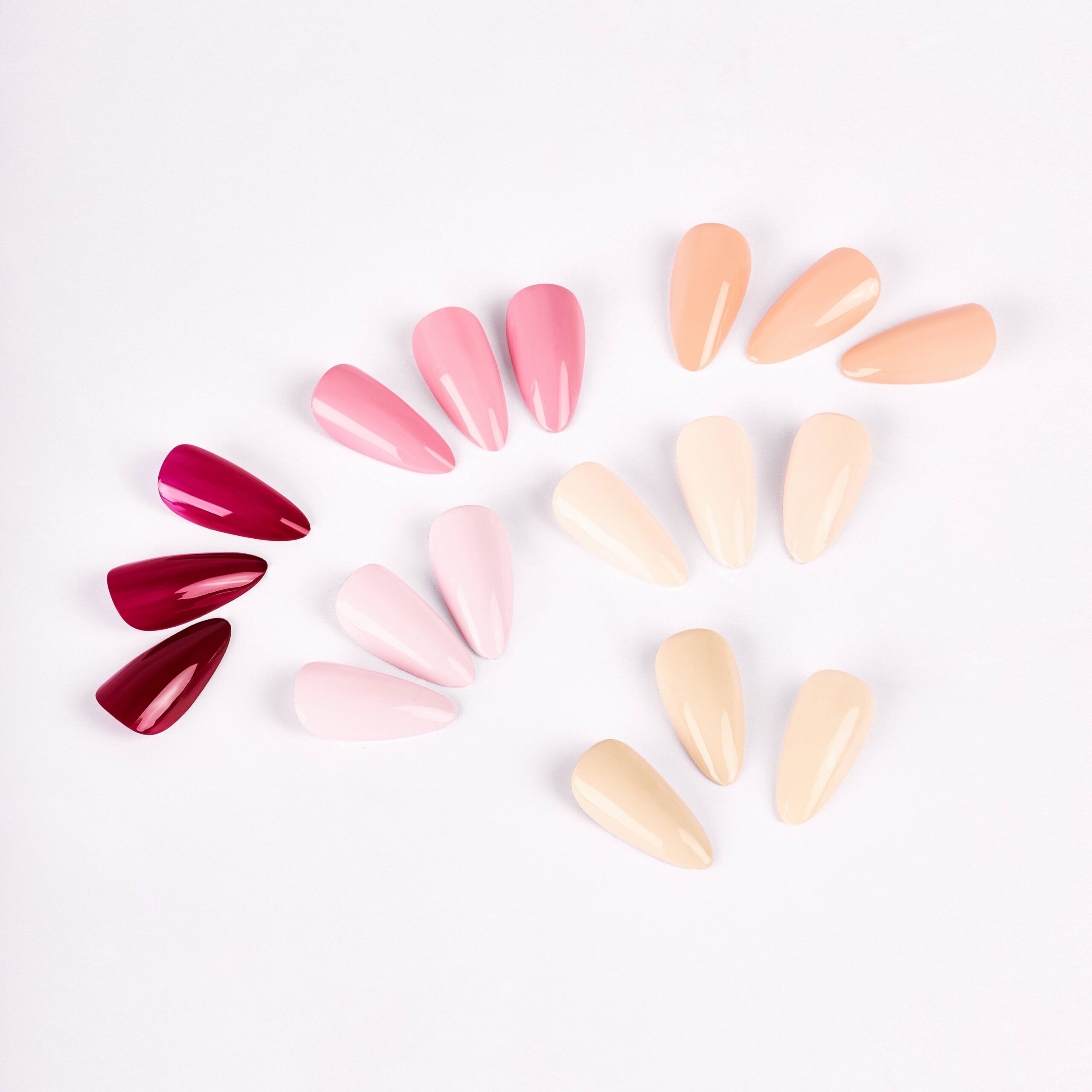  A fan-like display of nail tips in a gradient of pink and nude tones, from deep berry to soft cream, demonstrating a selection of classic gel polish colors.