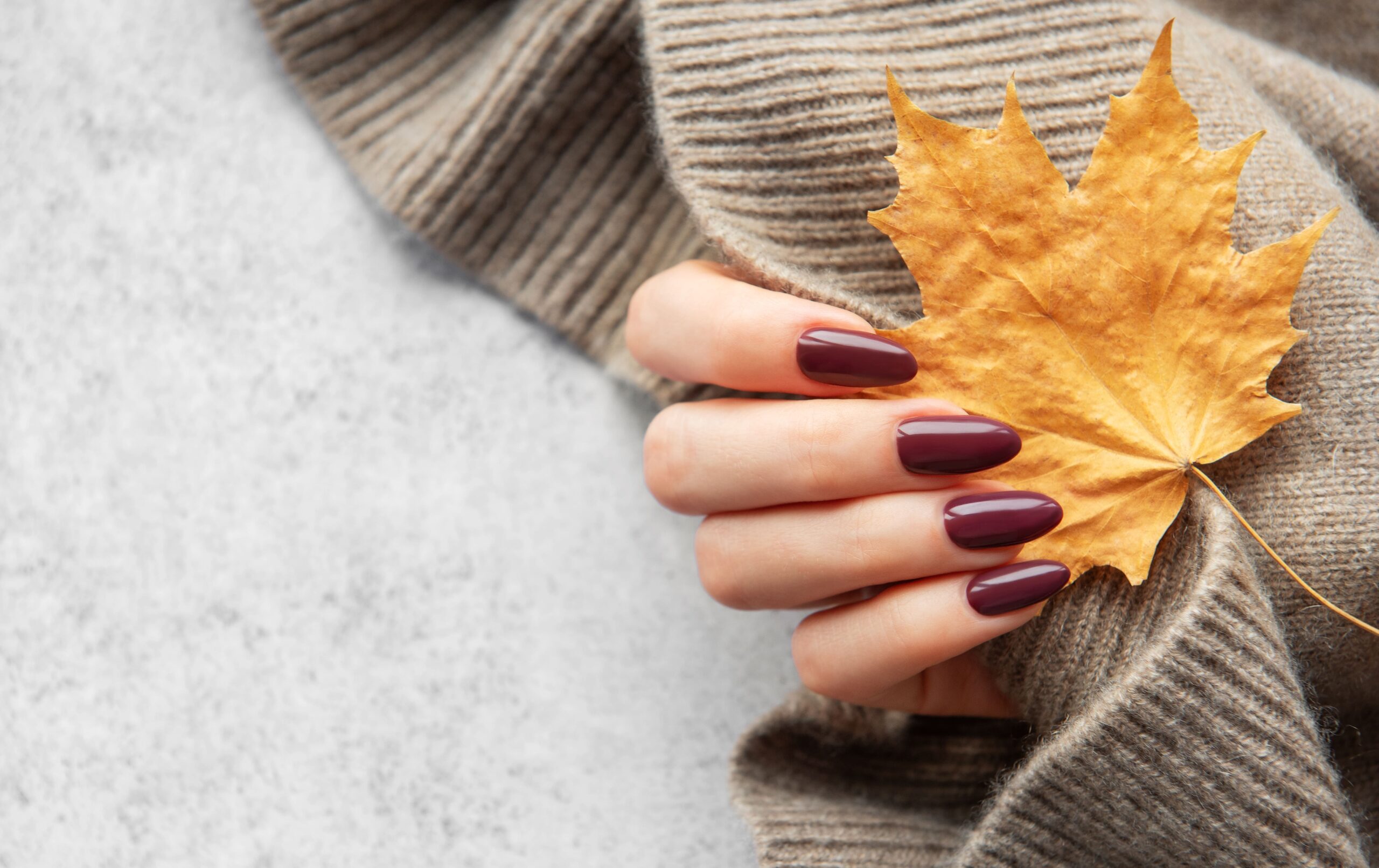 A close-up of a hand with long, oval-shaped nails painted in a rich, glossy burgundy, resting on a cozy grey sweater and holding a golden maple leaf. This elegant and timeless nail art is perfect for a cozy night in or a sophisticated fall gathering.